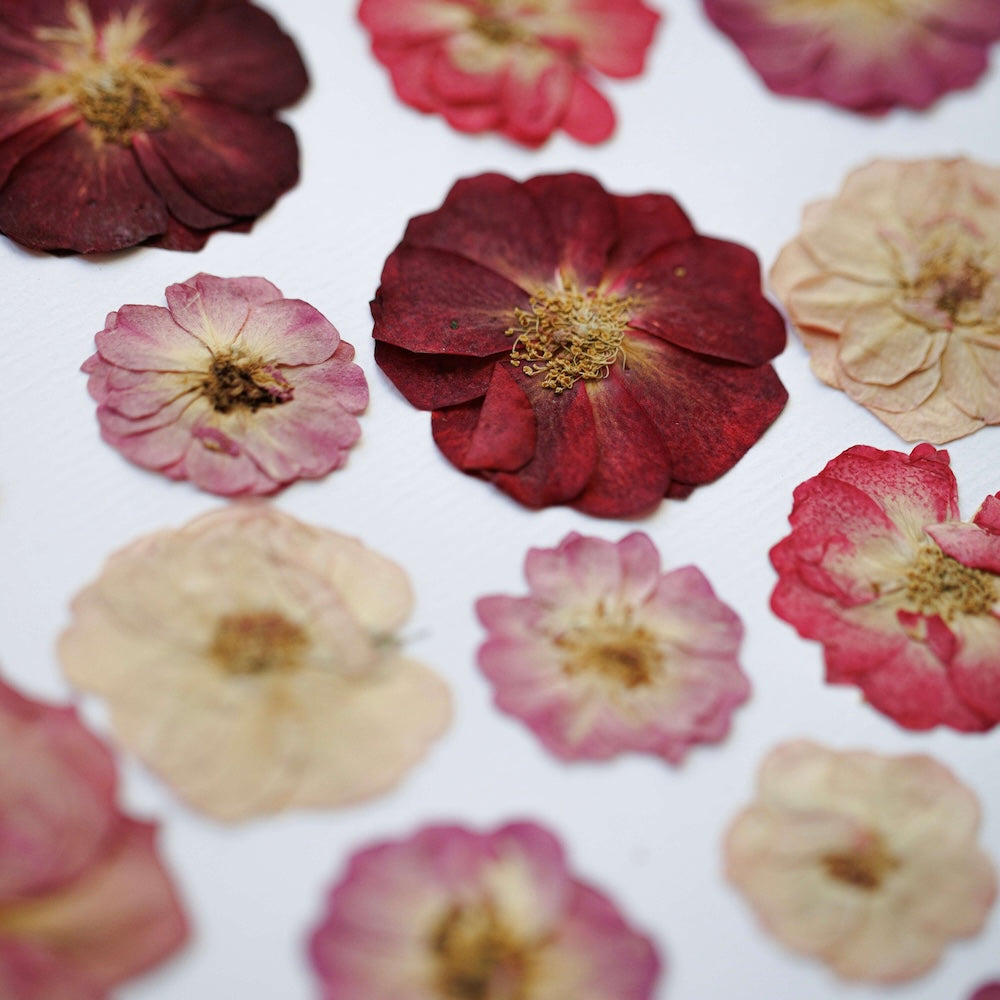 Flowrette Jardin des amoureux herbier fleurs A4