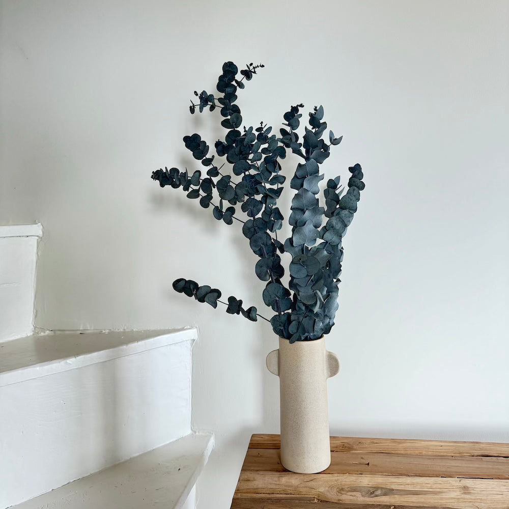 Flowrette Eucalyptus Cinerea botte fleur séchée x1