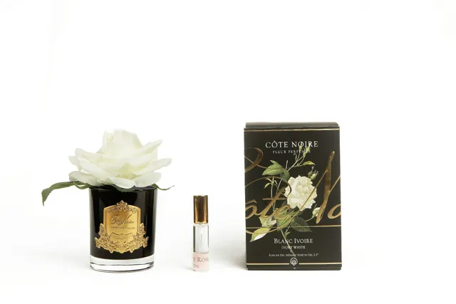Côte Noire Single Rose GMRB01 fleur parfumée ivoire noir