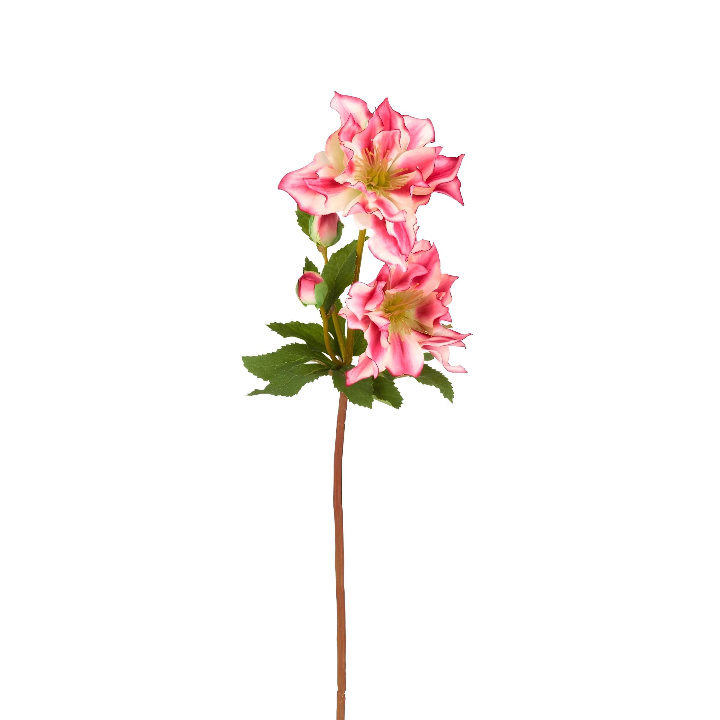 Sia Home Helleborus Niger tige fleur artificielle rose 40 cm