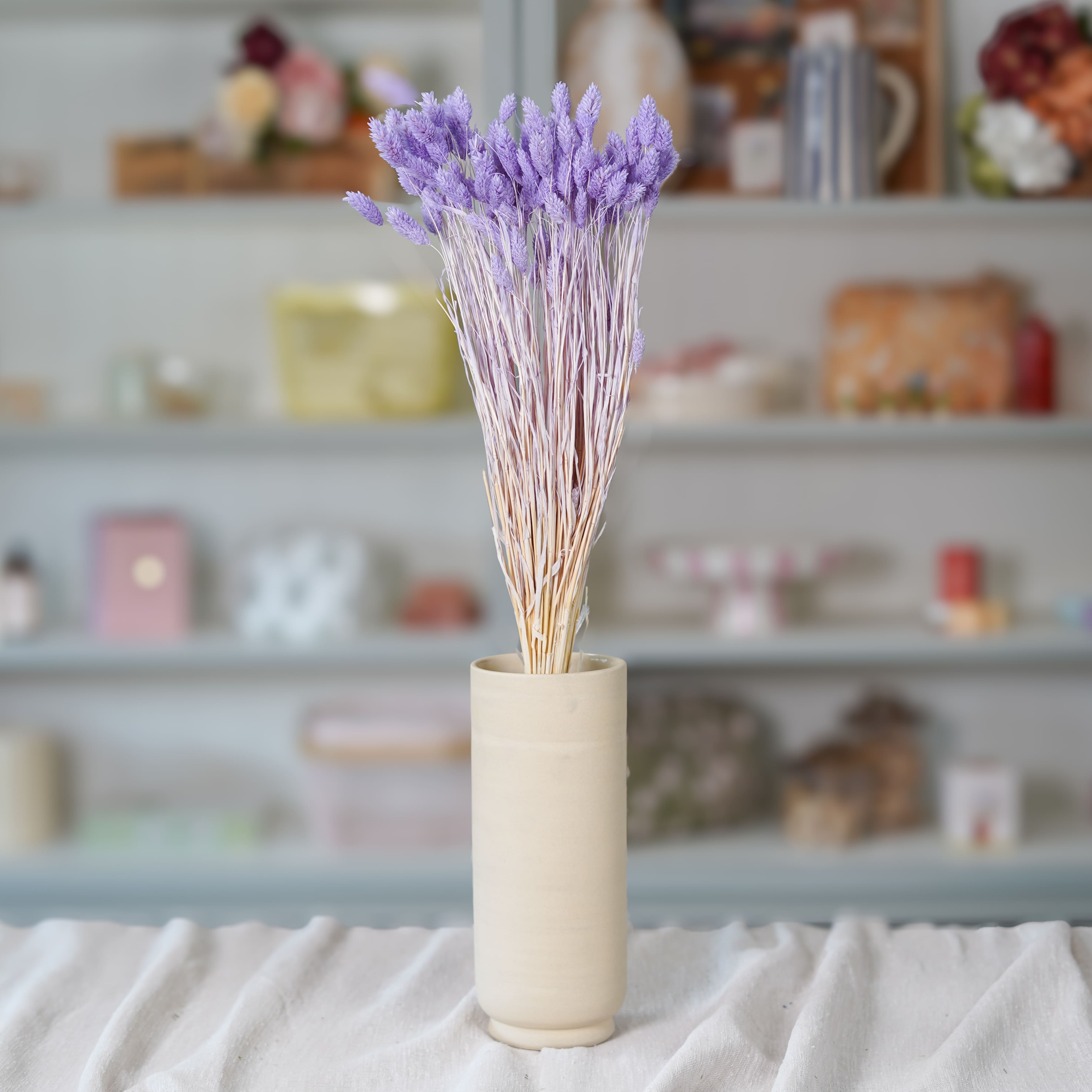 Flowrette Fleurs séchées Phalaris lilas botte x1