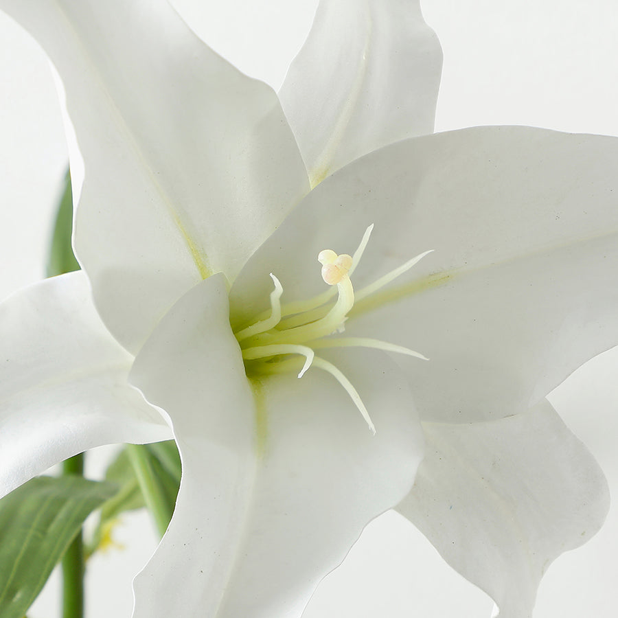 Sia Home Lys Casablanca tige artificielle blanc 65 cm premium