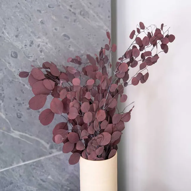 Flowrette Eucalyptus Populus Bordeaux botte stabilisée
