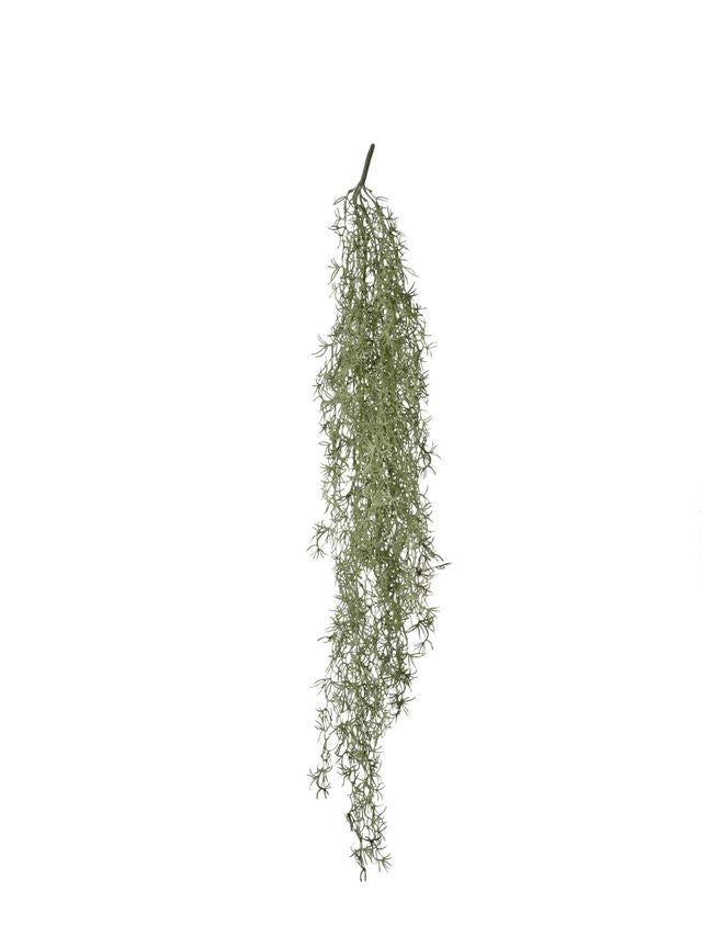 Feuillazur Rungis Tillandsia piquet vert 57x140 cm