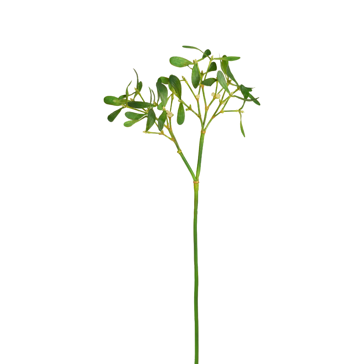 Sia Home Feuillage de Gui artificiel vert 68 cm baies blanches