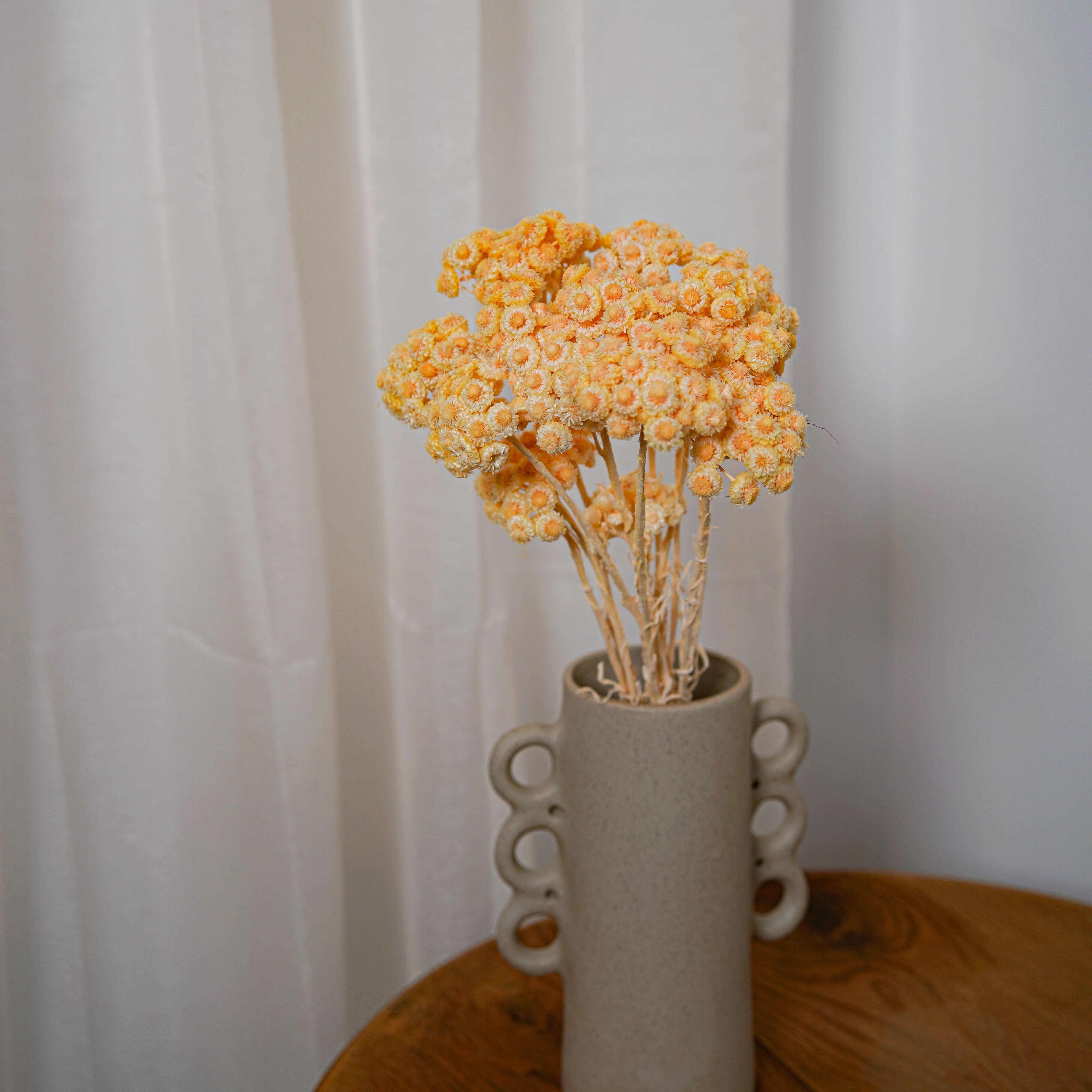 Flowrette Immortelles du Var fleur séchée pêche x1 botte