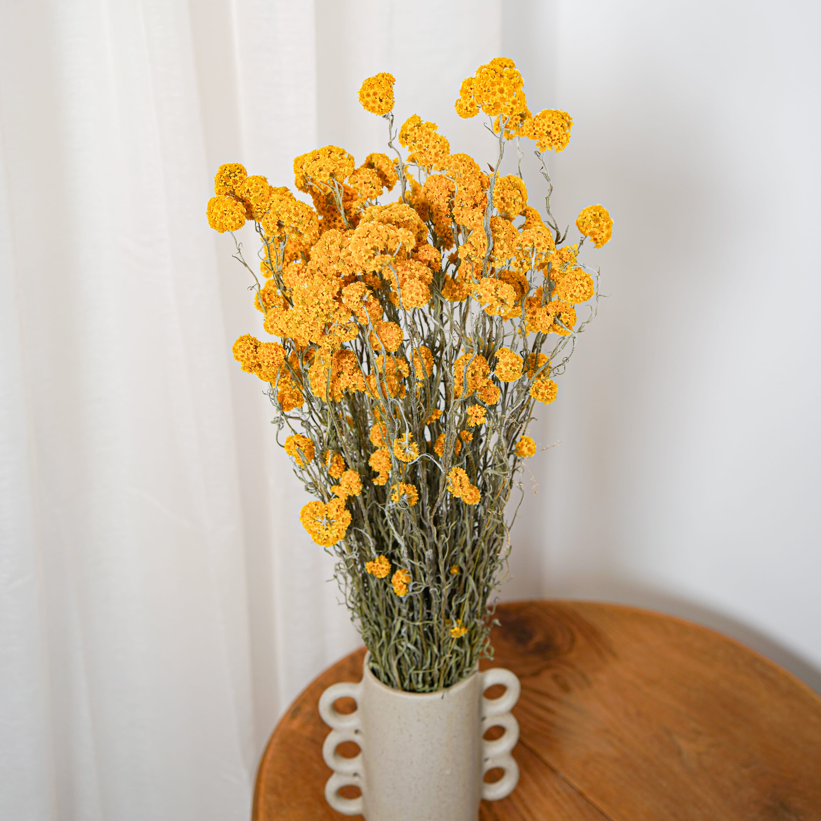 Flowrette Sanfordii botte fleurs séchées jaune x1 lumineuse
