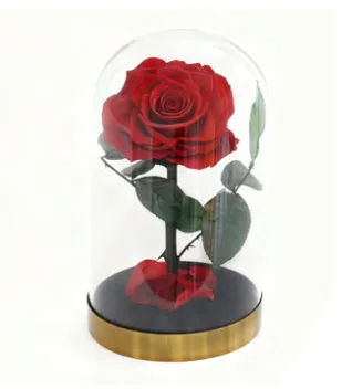 Feuillazur Rungis rose stabilisée sous cloche rouge 14x23 cm