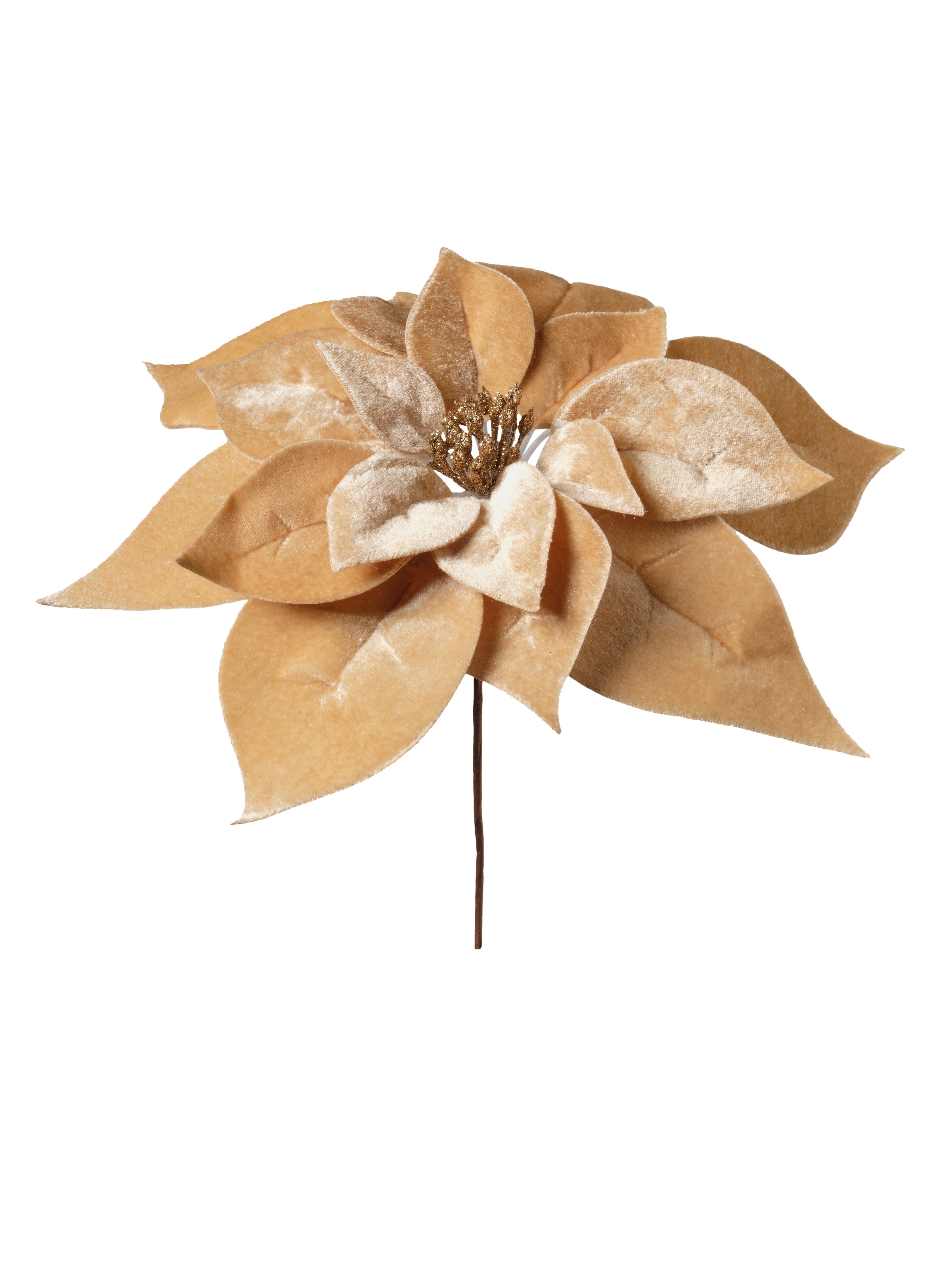 Feuillazur Rungis Saison Tige poinsettia fleur bordeaux 67cm