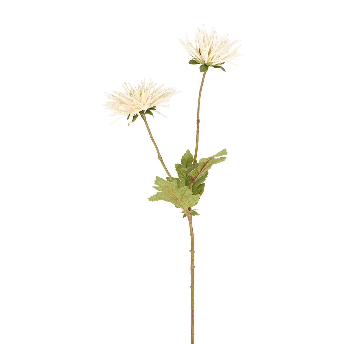 Sia Tiges Tokyo tige beige 71 cm polyester