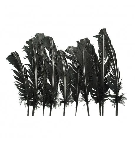 Feuillazur Rungis Plumes de dinde plumes noires lot 10 gothique