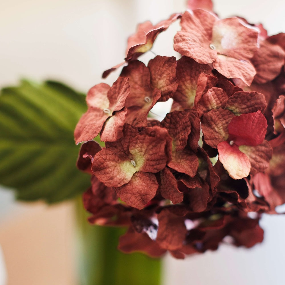 Flowrette Hortensia Grand hortensia fleur papier prune x1