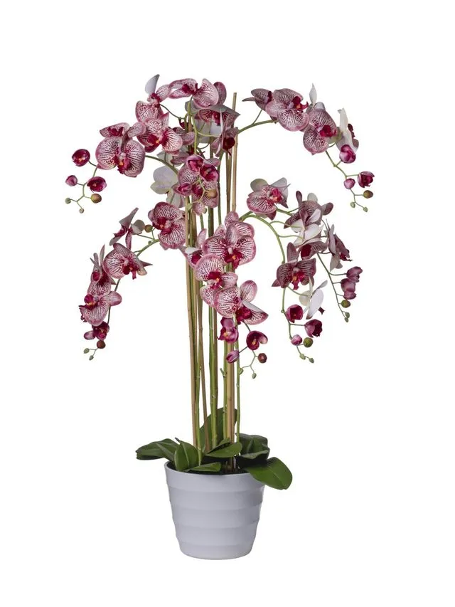 Feuillazur Rungis orchidées 8 branches artificielle 118cm