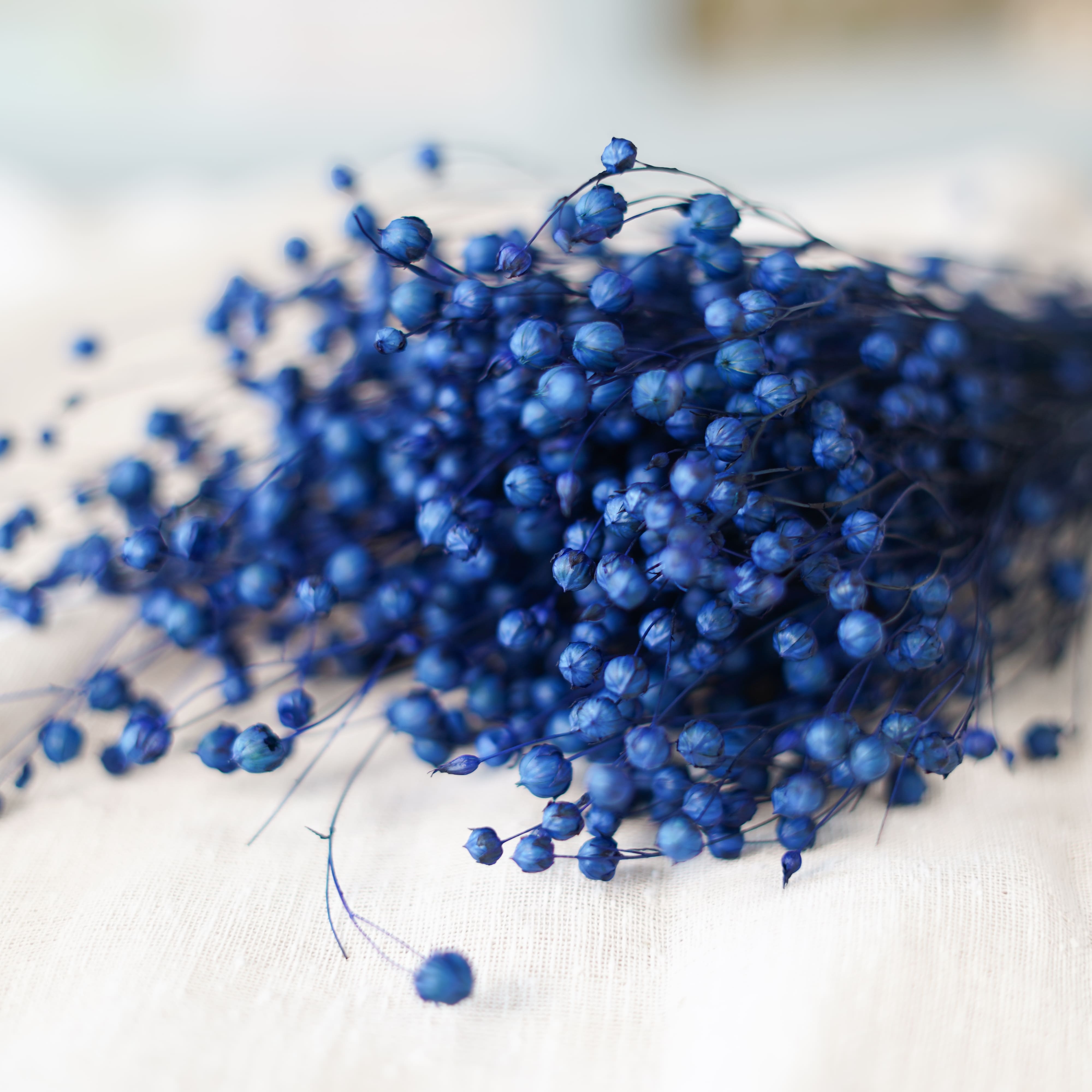 Flowrette Botte Lin bleu séché capsules bleues x1