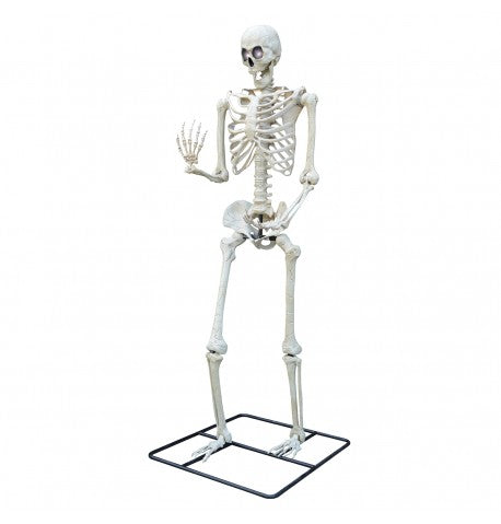 Feuillazur Rungis Squelette Géant LCD déco Halloween