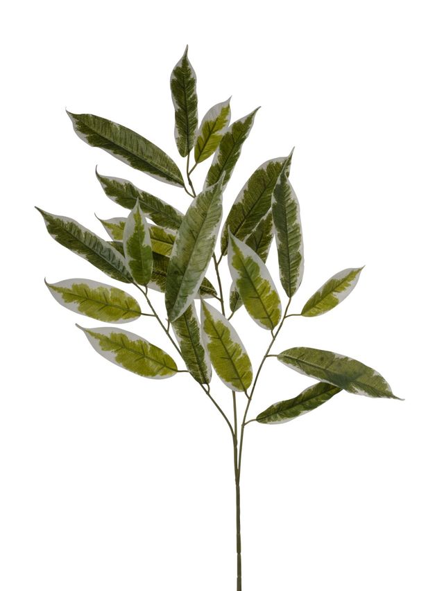 Feuillazur Rungis Ruscus branche verte artificielle bouquet
