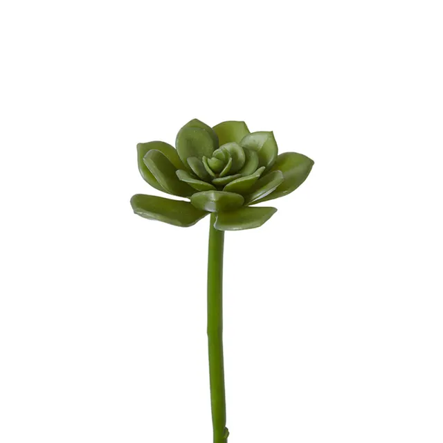 Sia Home Feuillage succulente tige 30 cm vert clair