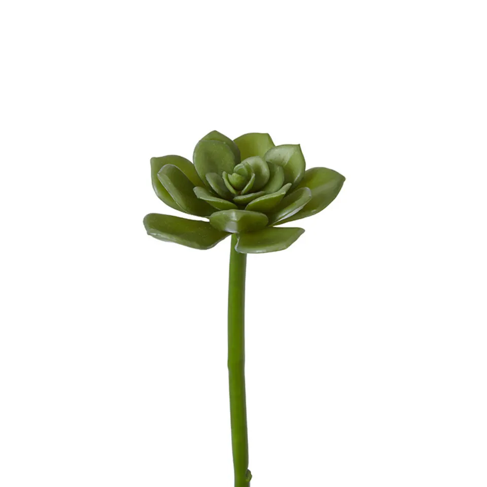 Sia Home Feuillage succulente tige 30 cm vert clair