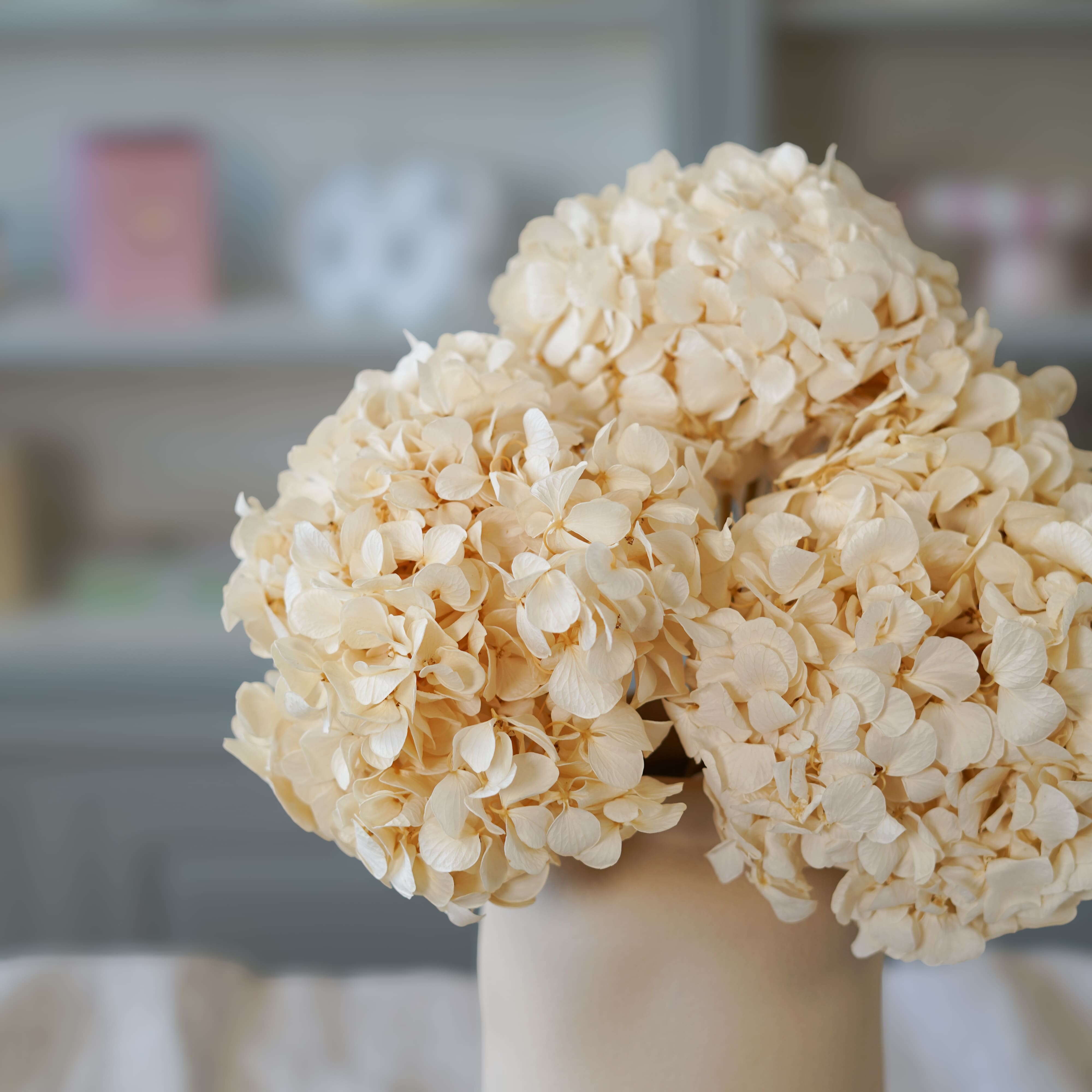 Flowrette Hortensia Blanc Stabilisé Fleur Volume Romantique