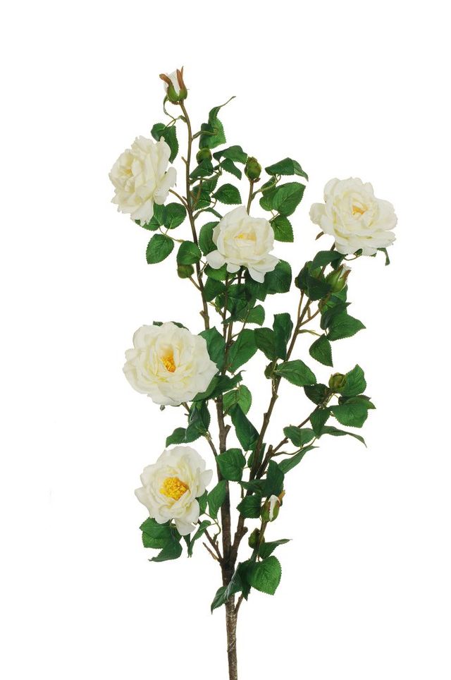Feuillazur Rungis Rose de jardin sur tige saumon 103 cm