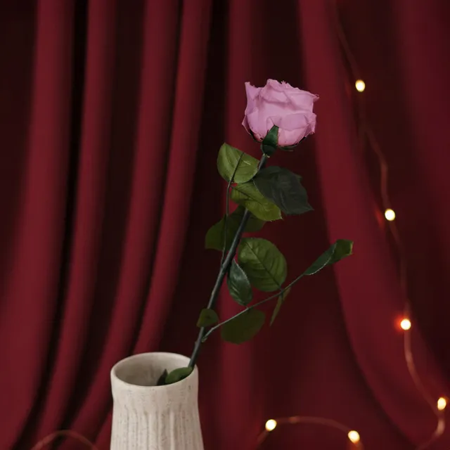 Flowrette Rose stabilisée rose naturelle x1 sans entretien