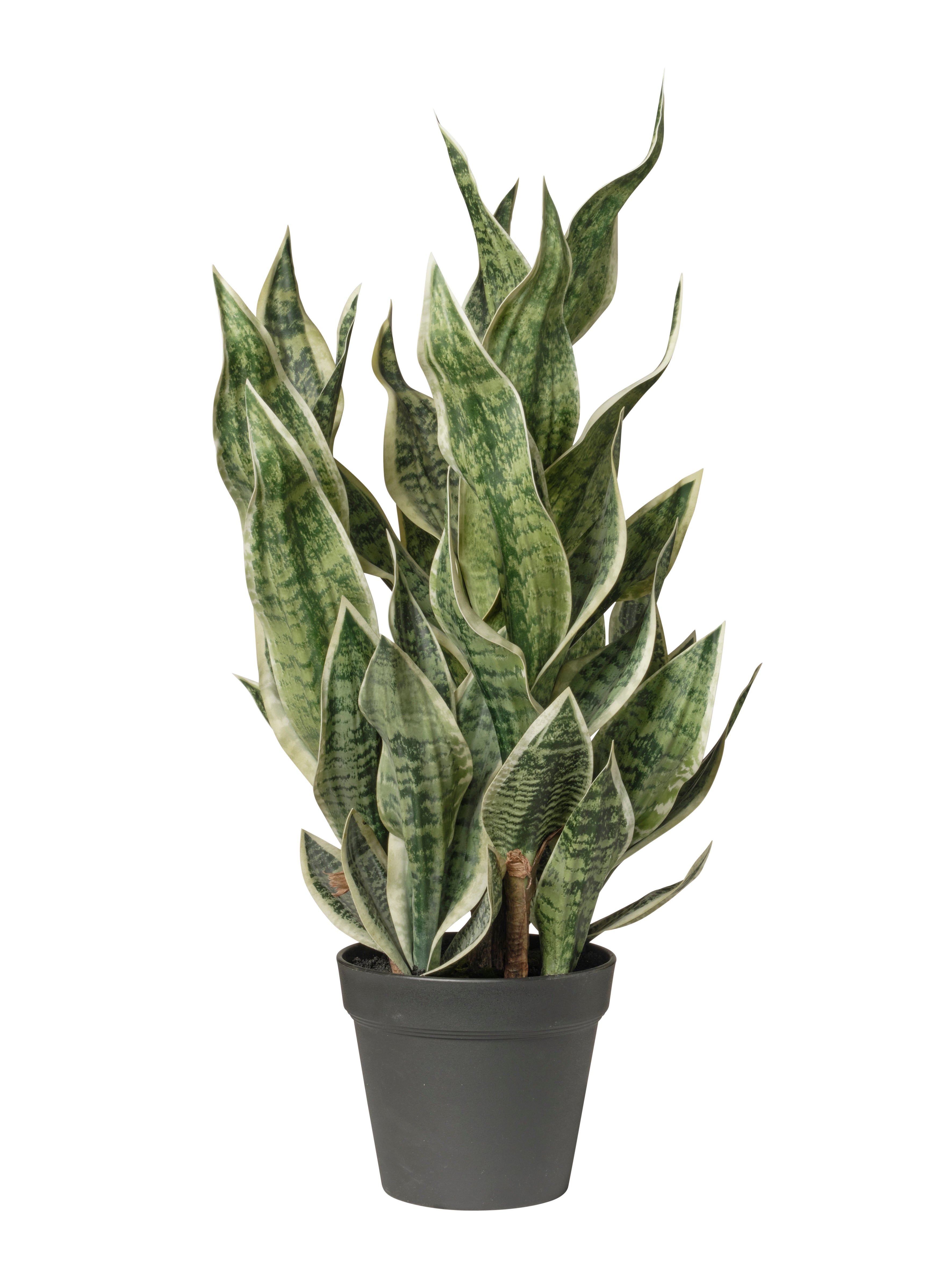 Feuillazur Dracaena plante artificielle vert 81cm