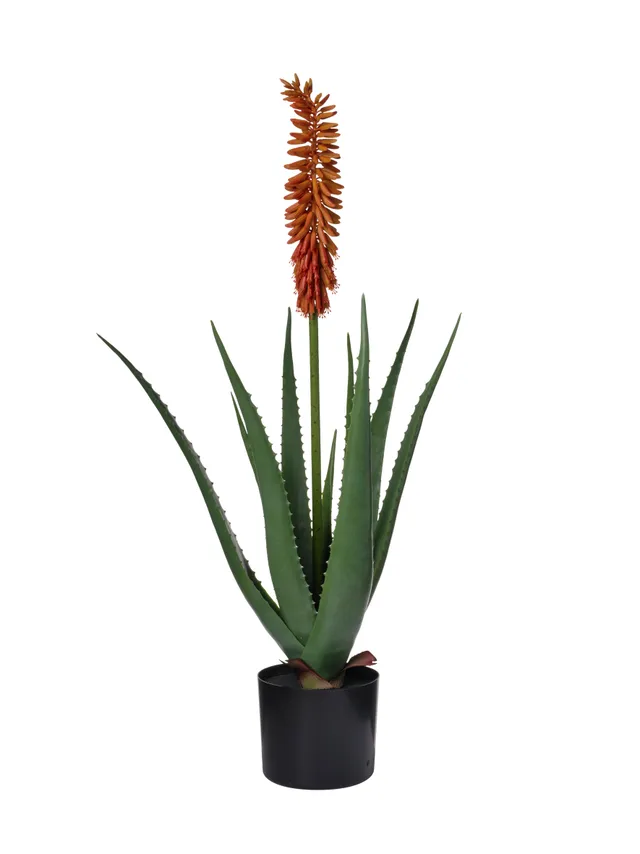 Feuillazur Rungis Aloe Vera plante artificielle vert/jaune 85cm