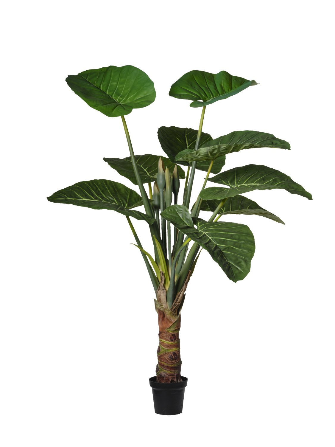Feuillazur Rungis Alocasia vert 22x18,5x170cm plante artificielle