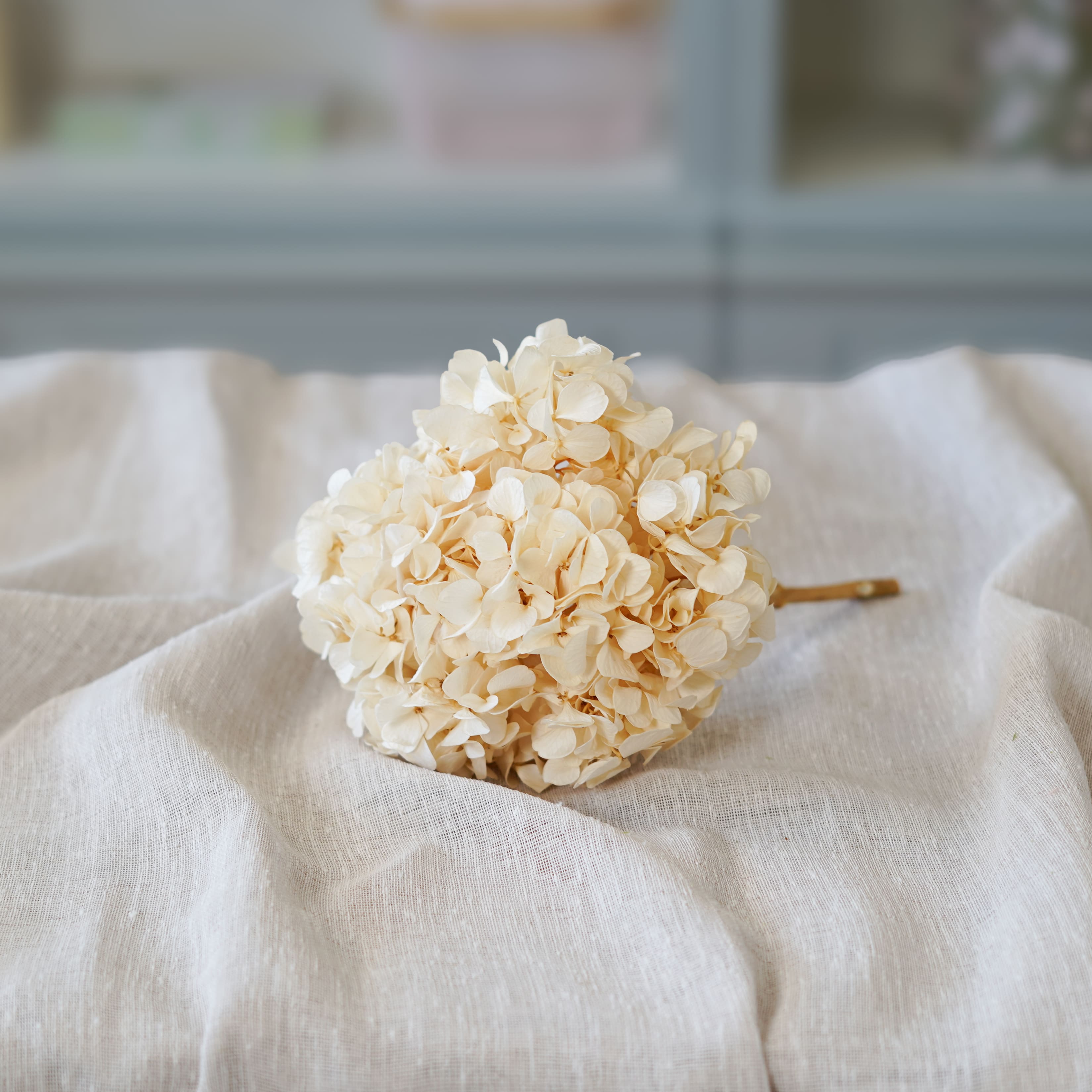 Flowrette Hortensia Blanc Stabilisé Fleur Volume Romantique