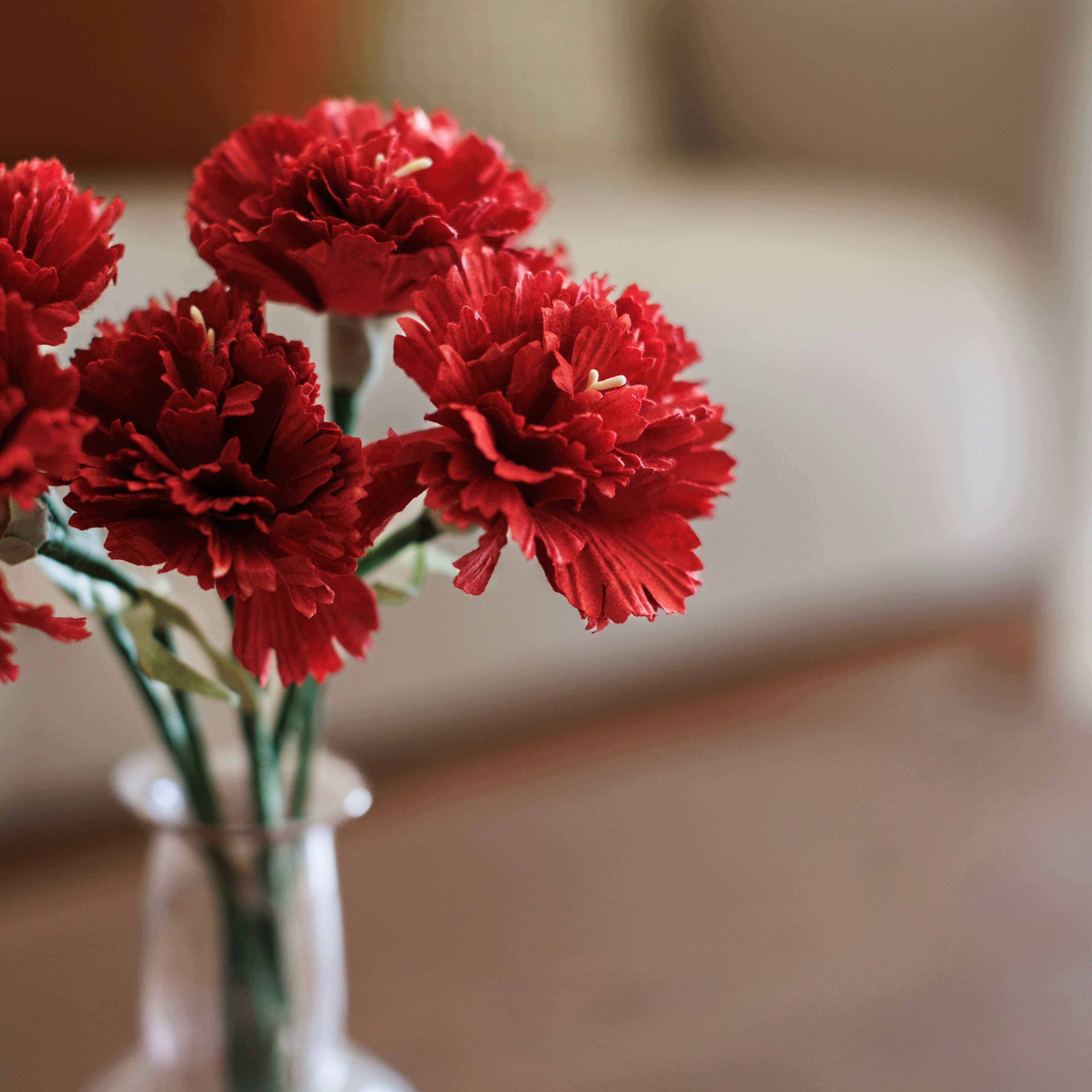 Flowrette Oeillet papier rouge fleur tige x1 romantique