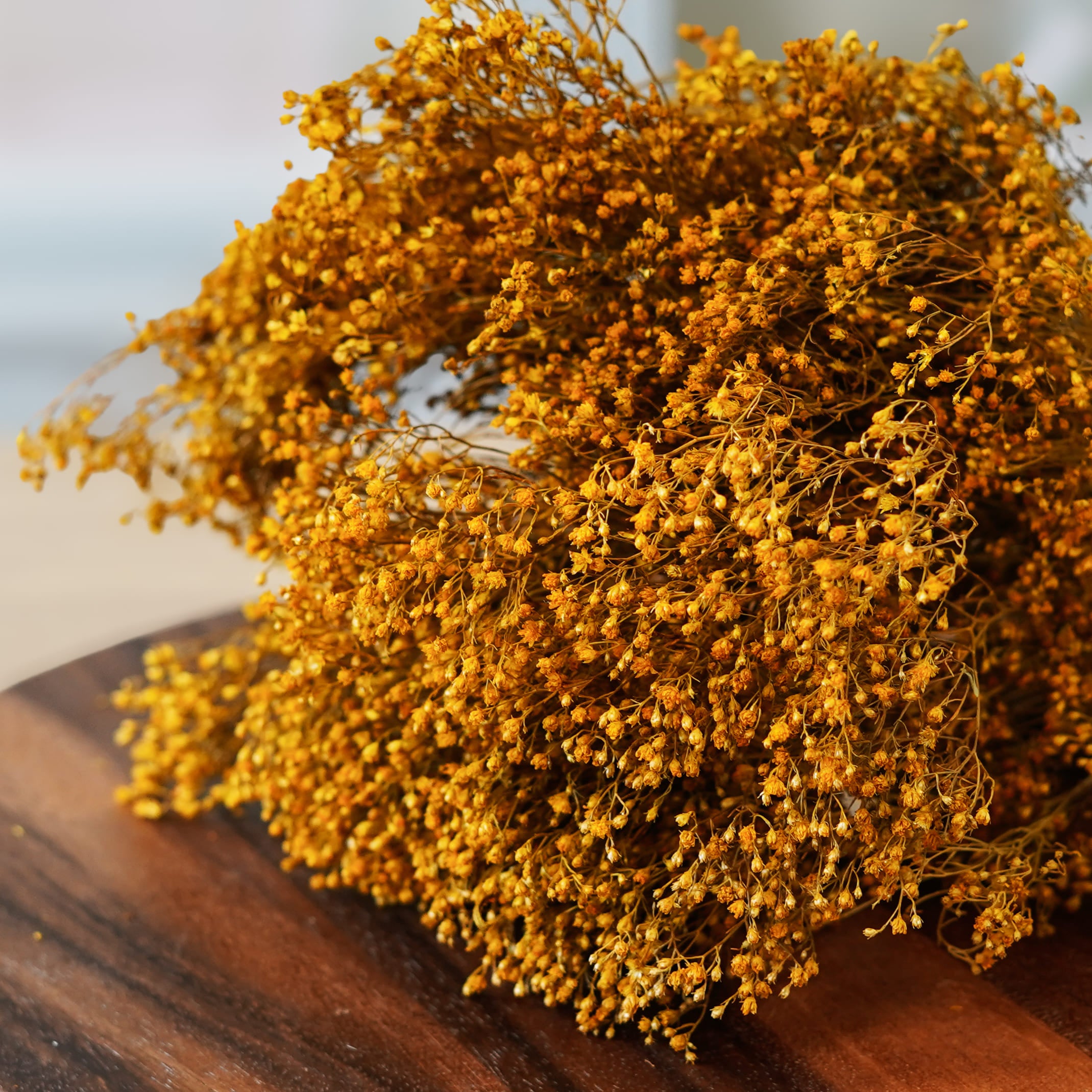 Flowrette Broom Bloom fleurs séchées jaune botte x1