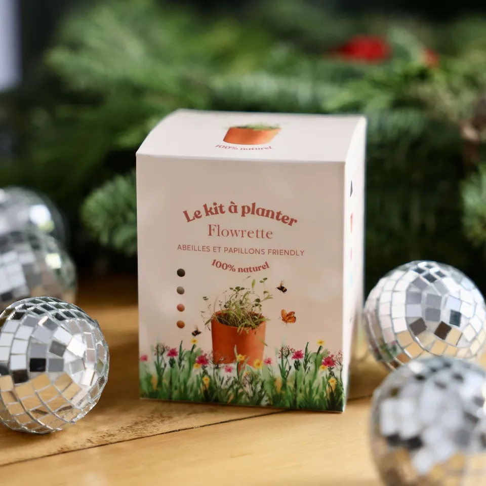 Flowrette Kit à planter pot céramique graines bio
