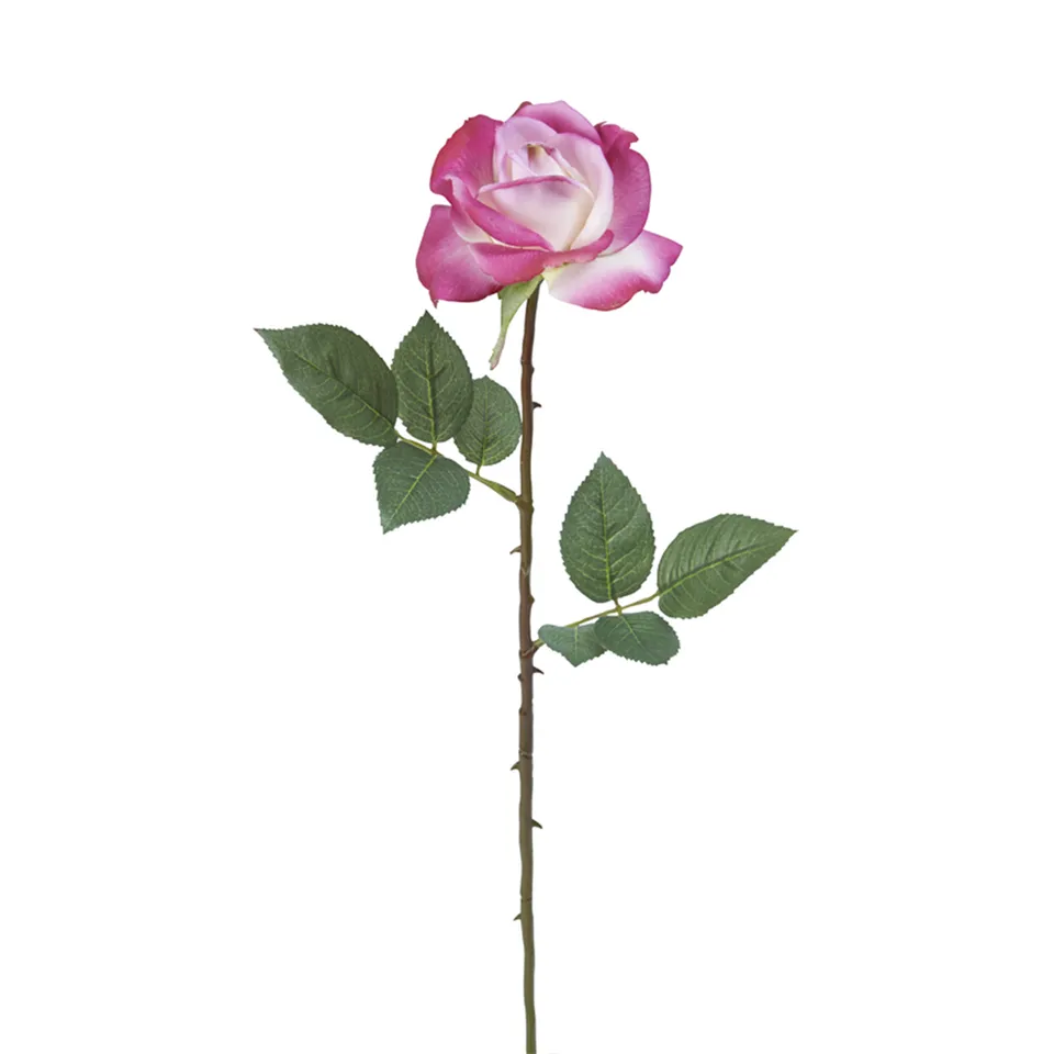 Sia Home Tiges de Fleurs artificielles Sophia rose 65 cm