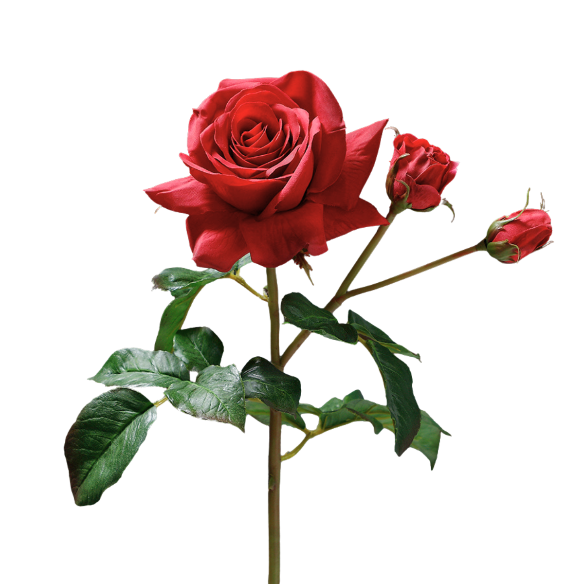 Sia Home tige rose artificielle rouge 56 cm Premium