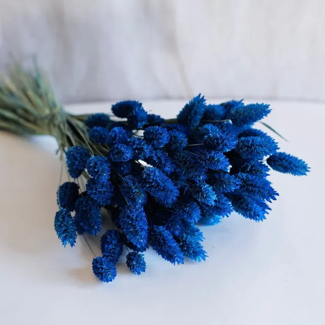 Flowrette Botte Phalaris bleu séché bleu pétrole x1