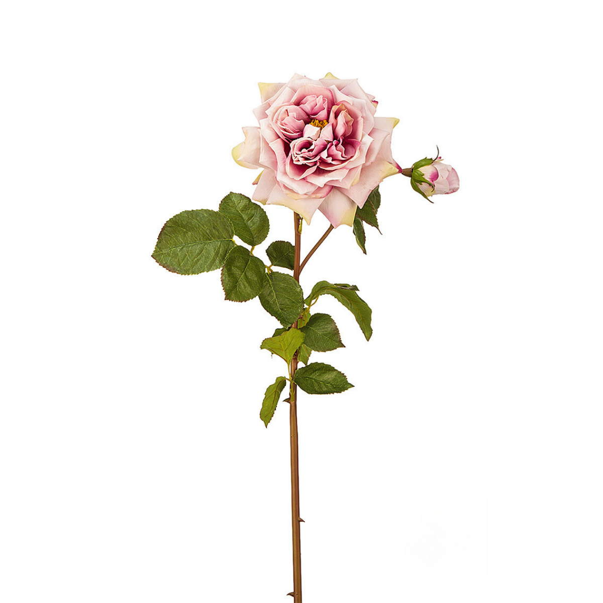 Sia Home Rose David ouverte tige artificielle rouge 80 cm