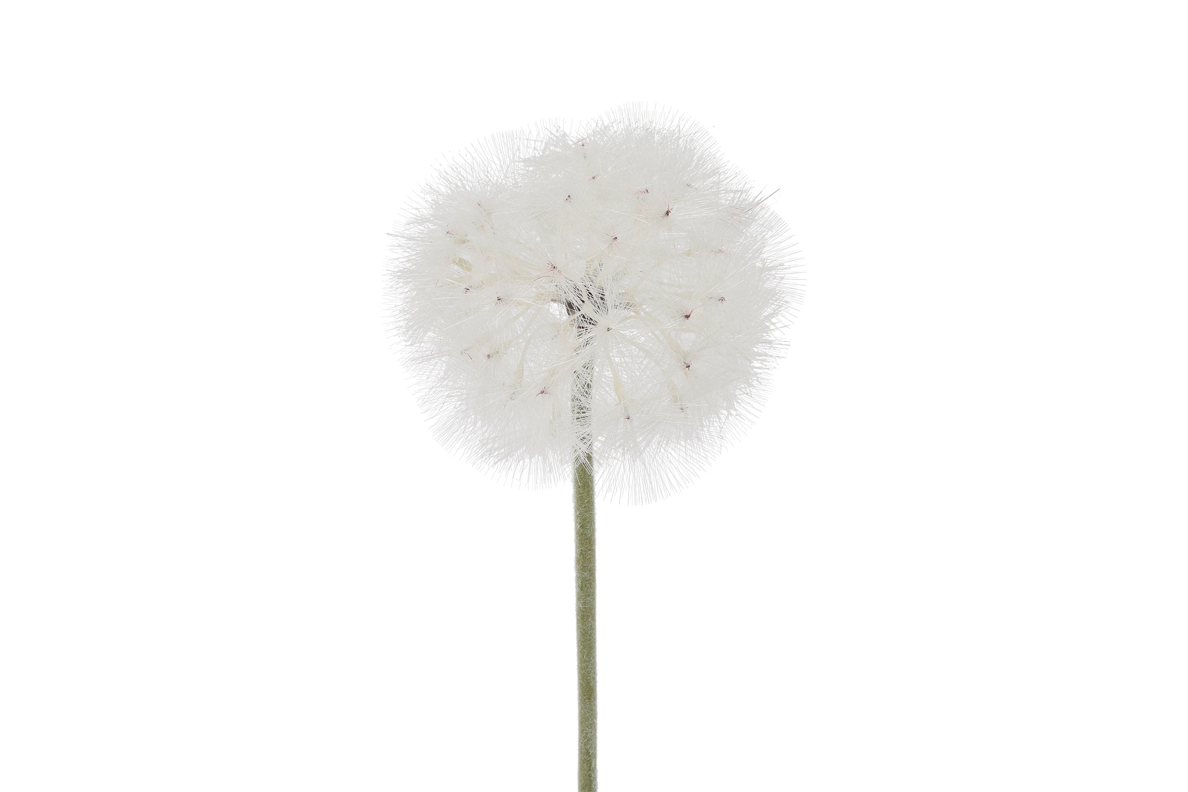 Feuillazur Rungis Allium fleur artificielle blanche 66cm