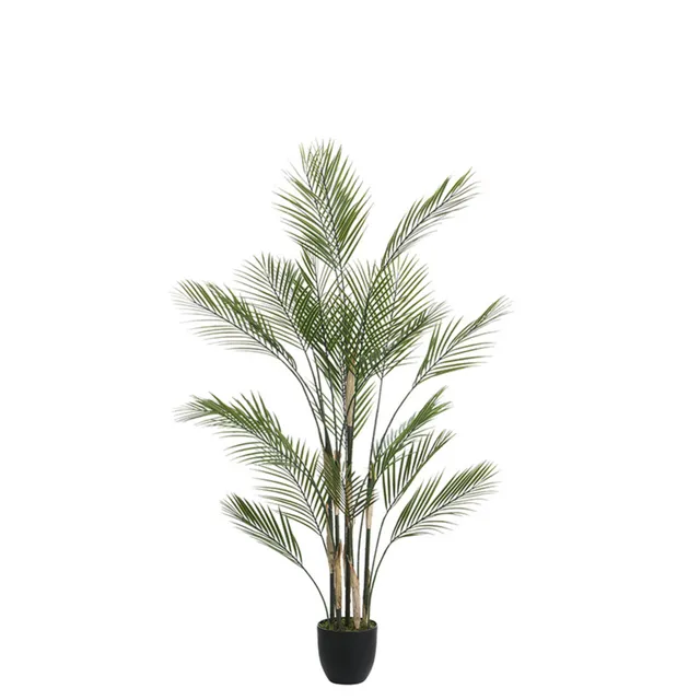 Sia Home Arbres Palmier Kwai pot 150 cm vert