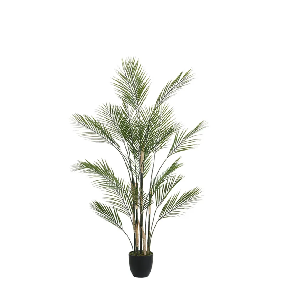 Sia Home Arbres Palmier Kwai pot 150 cm vert