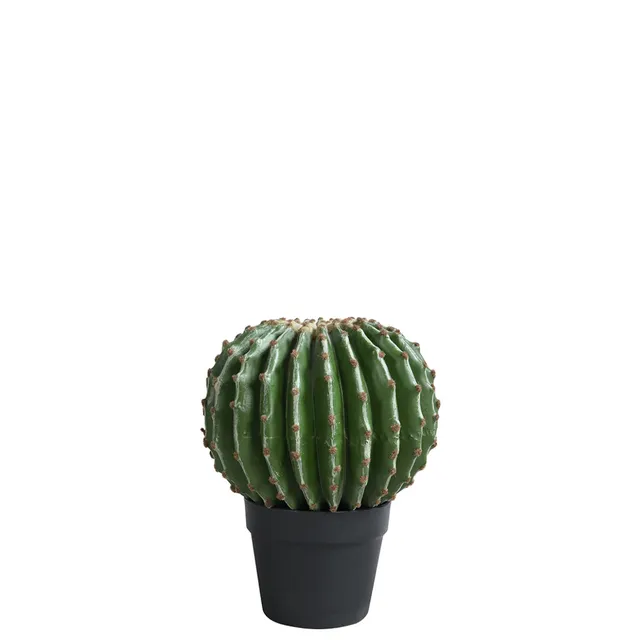 Sia Home Cactus rond artificiel vert pot 31 cm