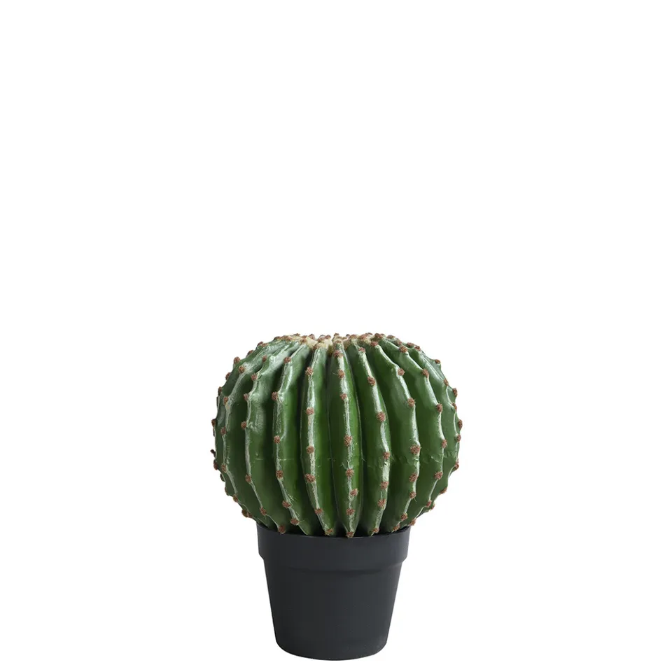 Sia Home Cactus rond artificiel vert pot 31 cm