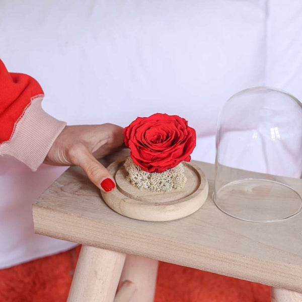 Flowrette Love Bell rose stabilisée rouge sous cloche