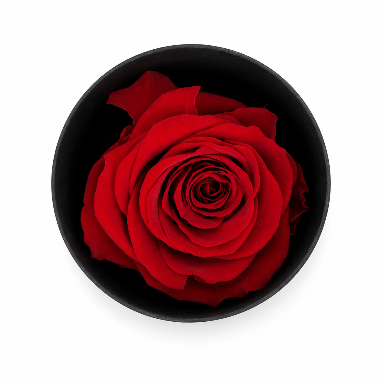 Ateliers Ouchamp Boites Rue des Roses boite rose rouge