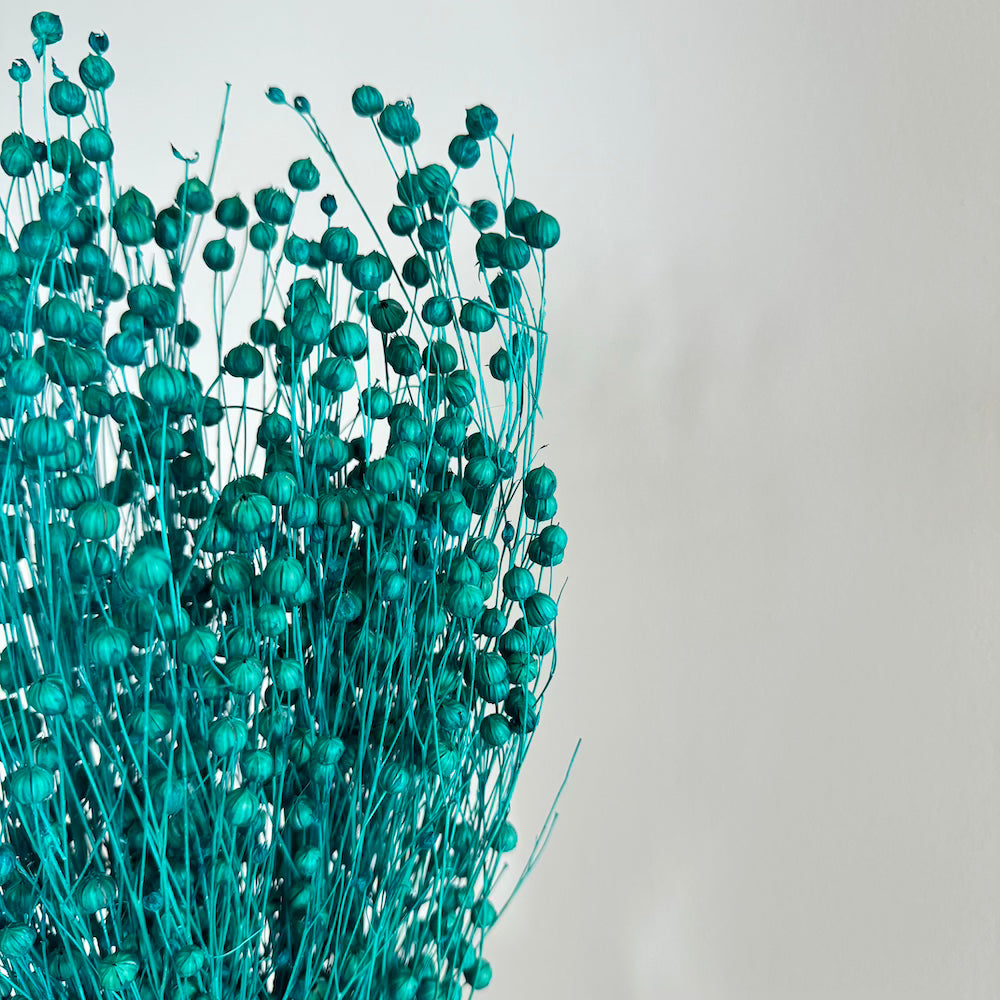 Flowrette Fleurs séchées Botte Lin Turquoise fleur séchée x1 turquoise