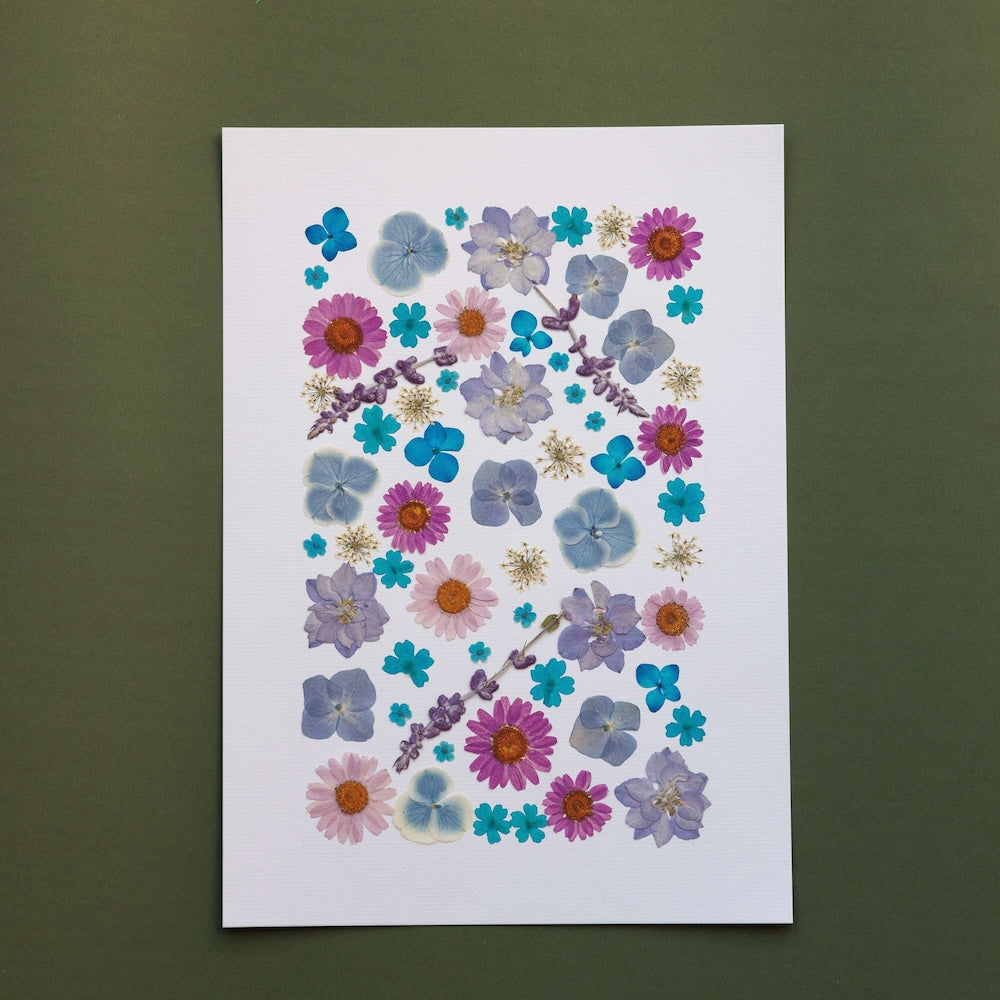 Flowrette Éclats de Lavande herbier fleurs séchées A4
