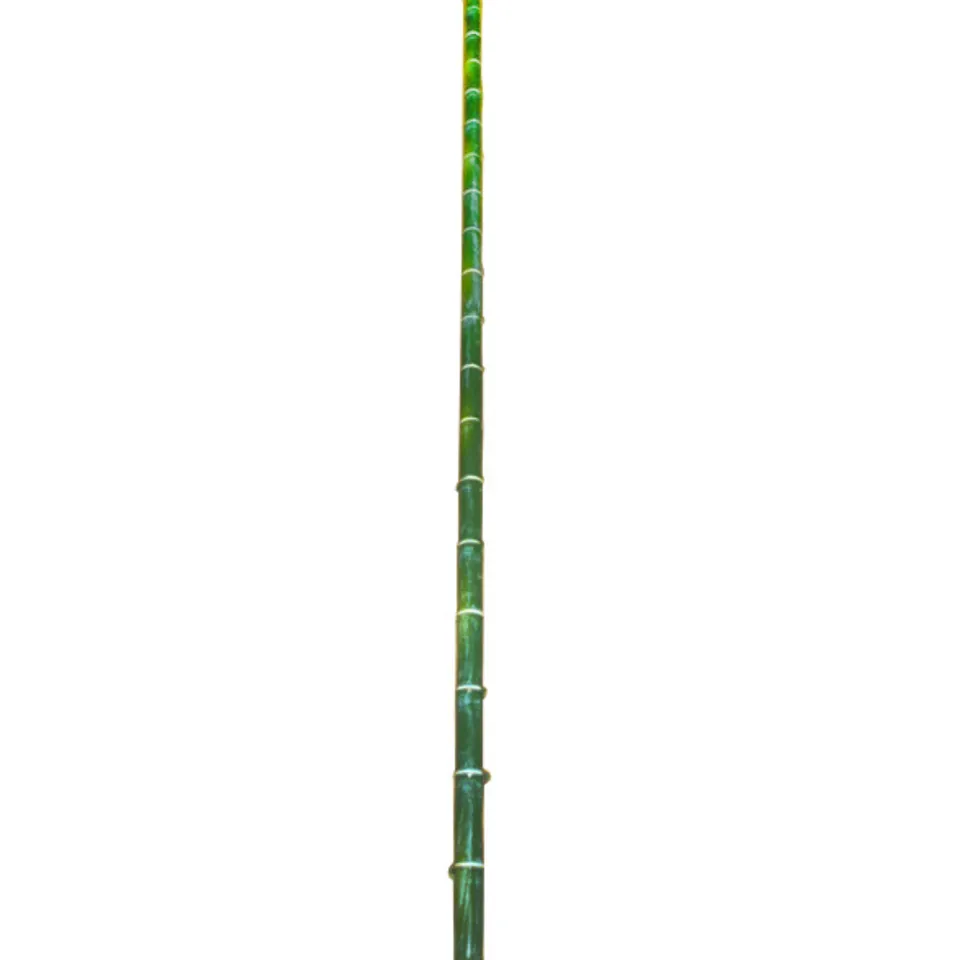Sia Home Bambou branche artificielle vert 140 cm
