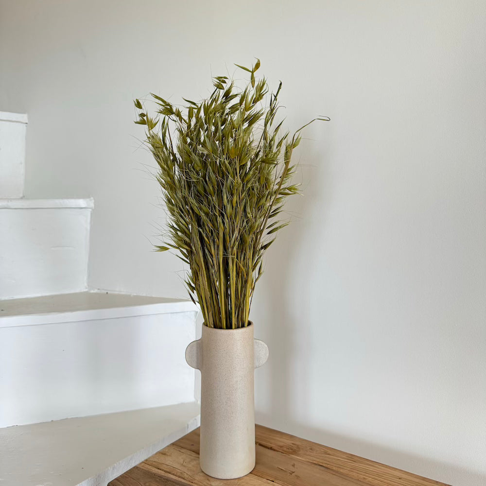 Flowrette Avoine Botte fleurs séchées vert olive x1