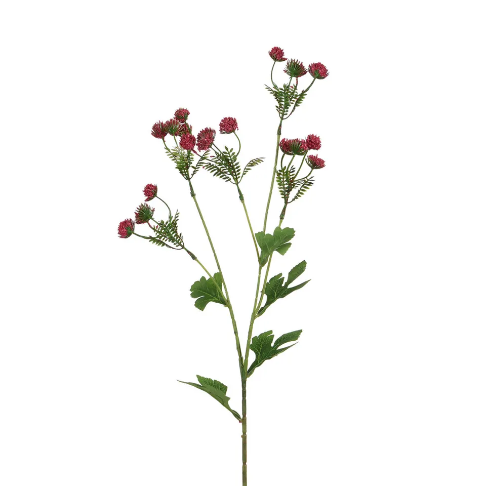 Sia Home Alchémille Tige 68 cm fleur artificielle fuchsia