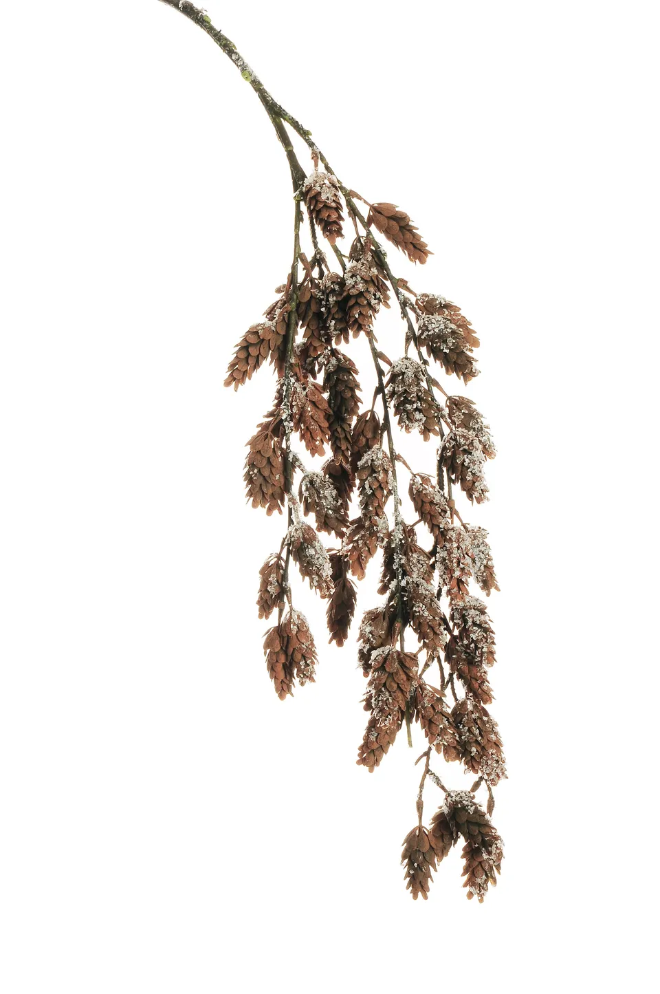 Feuillazur Rungis Branche pommes de pin branche enneigée 117cm