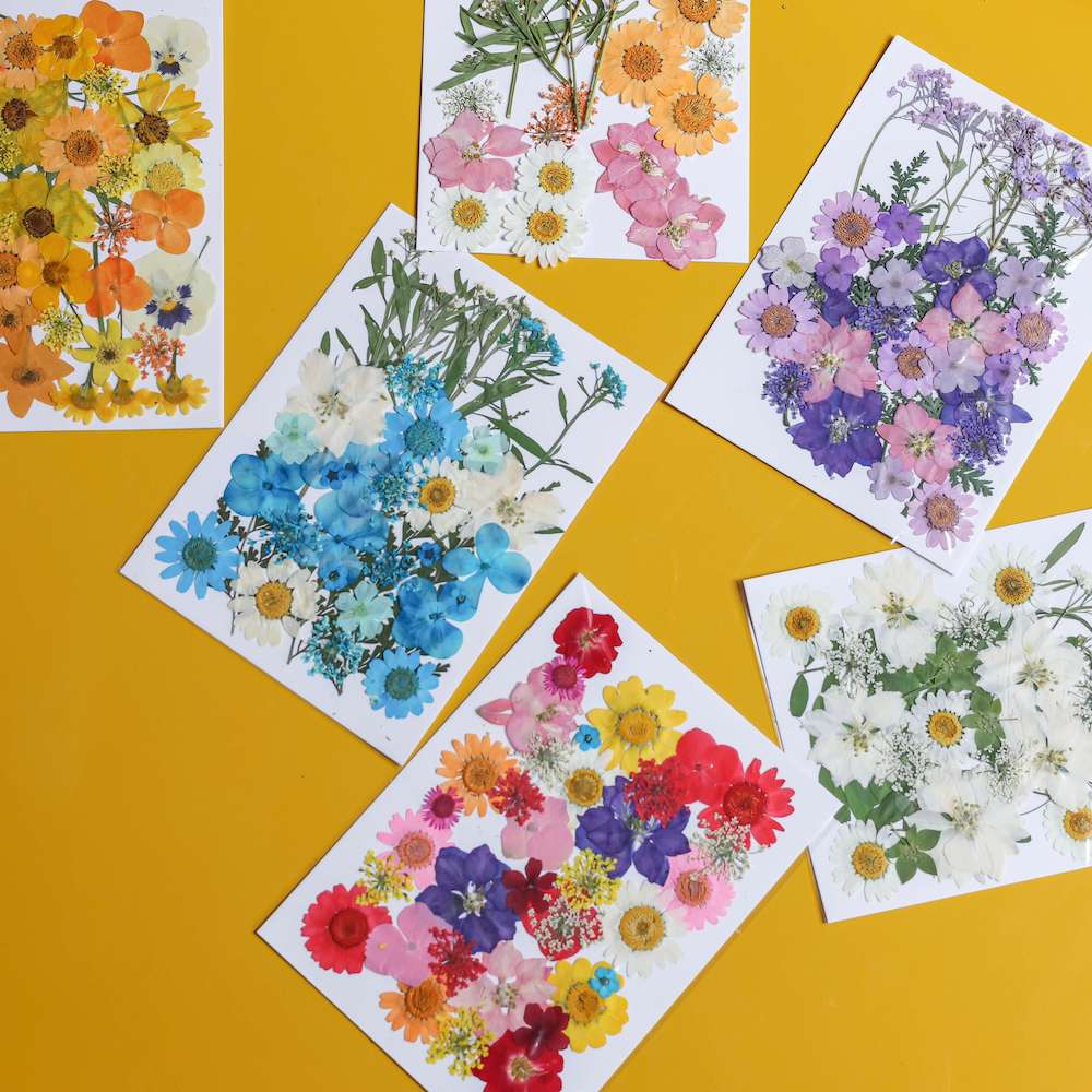 Flowrette Pochette fleurs pressées jaunes kit herbier DIY